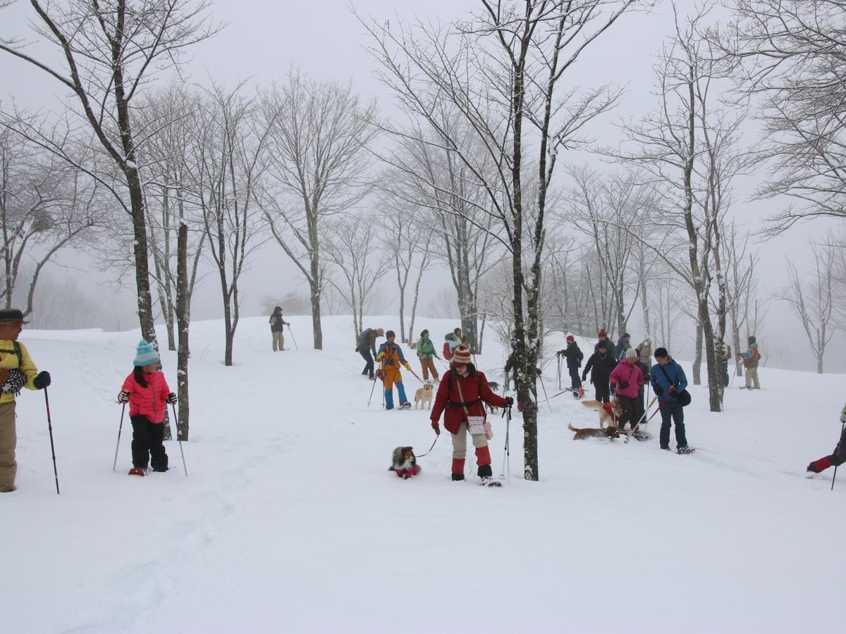 Pension Naginohi Naganohara ภายนอก รูปภาพ
